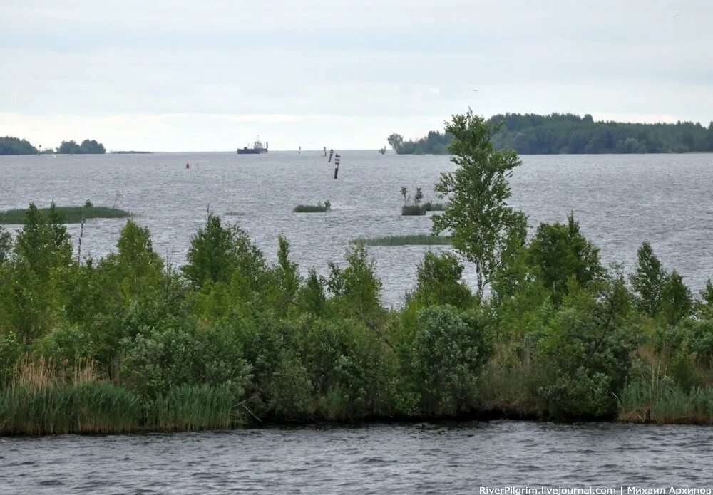 Белое озеро Вологодская область. Рыбинское водохранилище белое озеро. Рыбинское водохранилище озёра Вологодской области. Озеро белое Вологодское озеро.