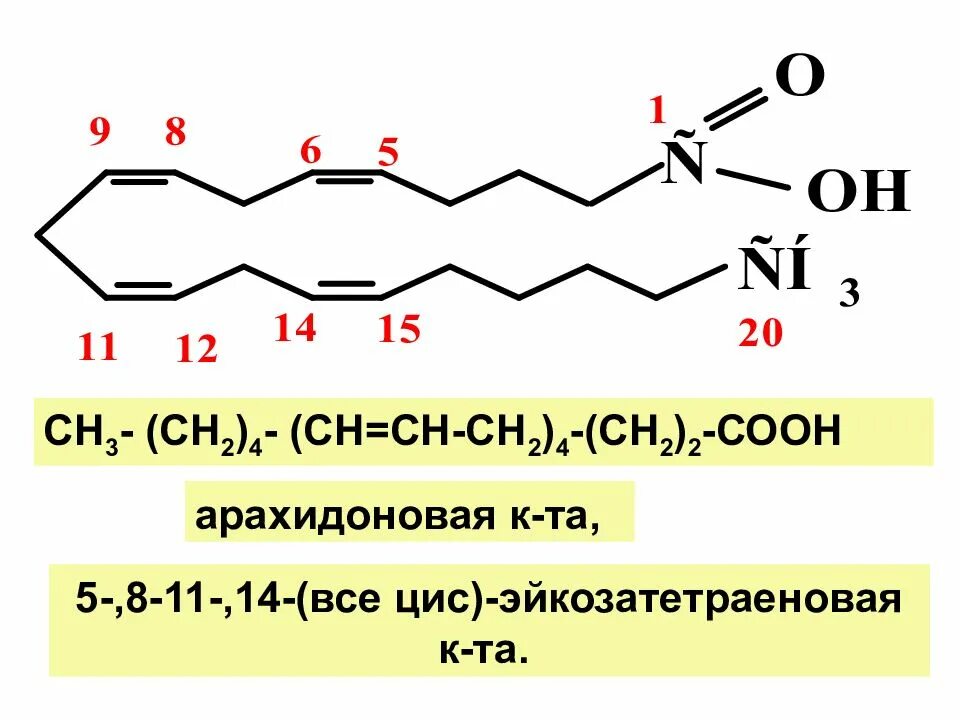Арахидоновая кислота формула. Структурная формула арахидоновой кислоты. Арахидоноваявая кислота формула. Формула арахидоновой кислоты