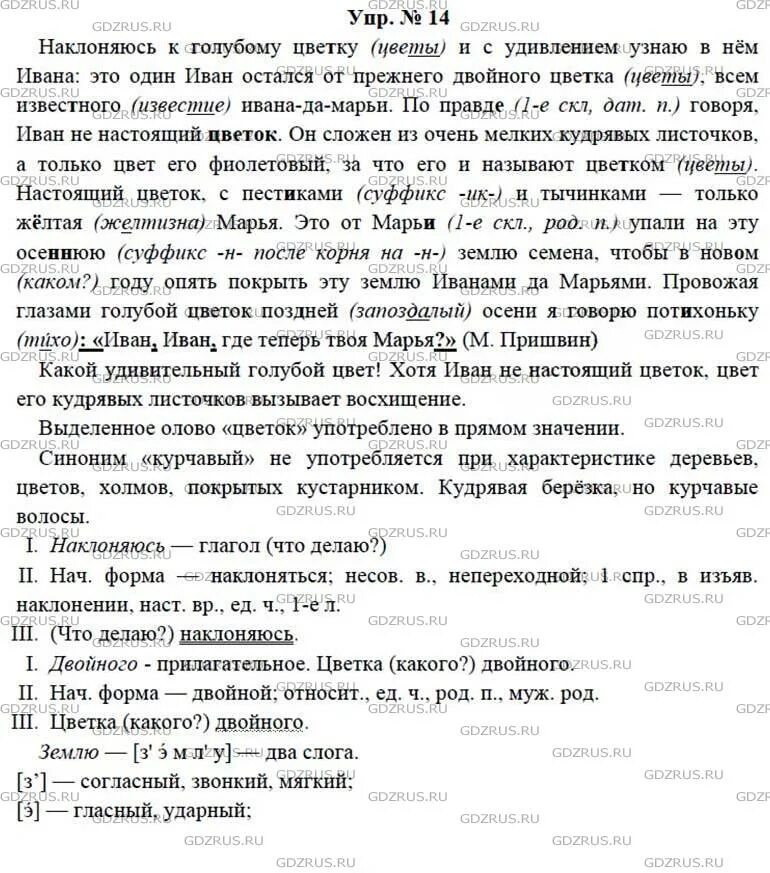 Наклоняешься к голубому цветку и с удивлением. Гэгжз пл русскому 7класс. Русский язык 7 класс упр 14. Русский язык 7 класс ладыженская упражнение 14. Готовые домашние задания по русскому 7 класс изложение.