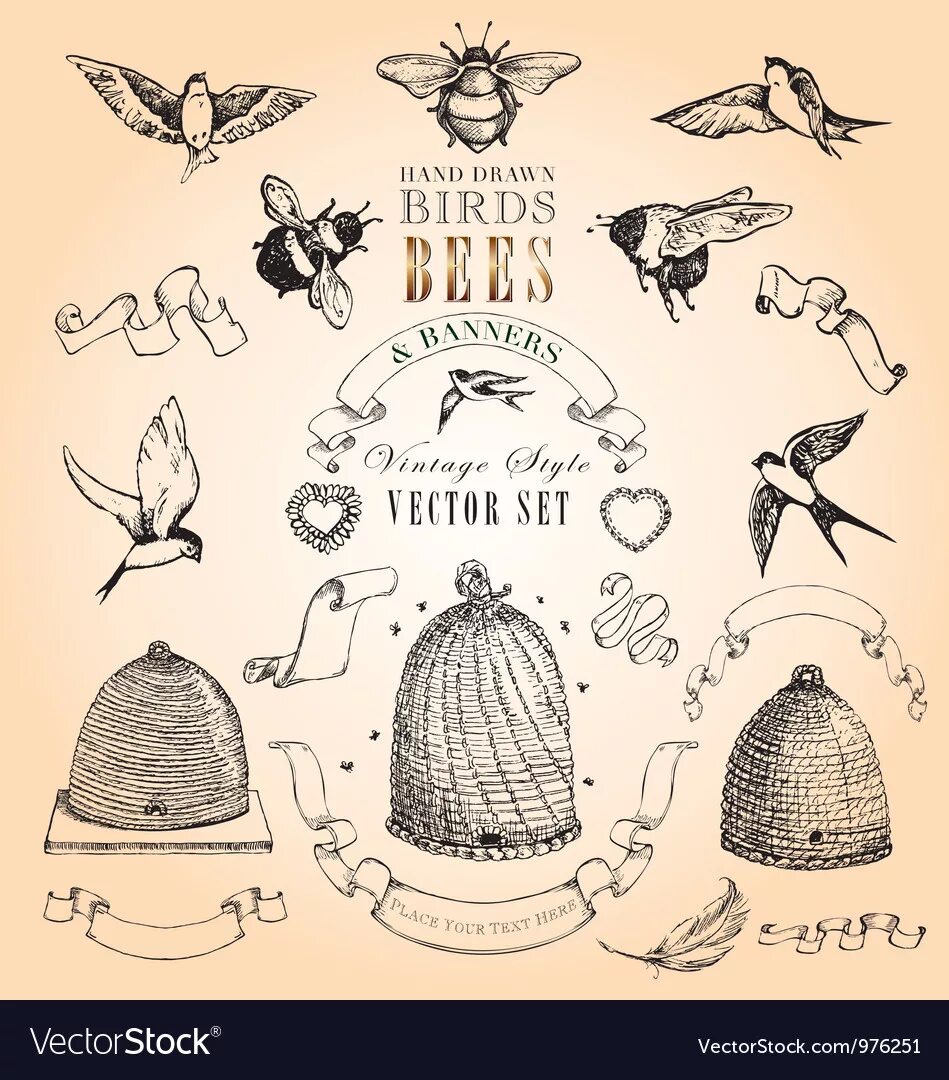 Birds and bees. Пчелы открытка Винтажная. Пчела Винтаж в векторе. Винтажные картинки пчела. Старинные открытки с пчелами.