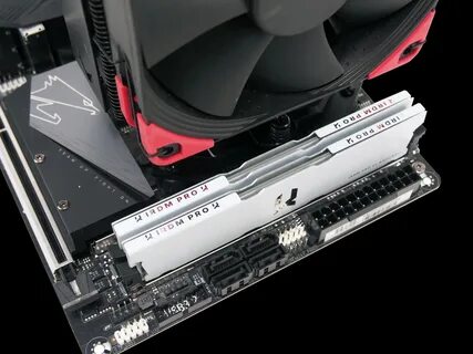 Xpg white