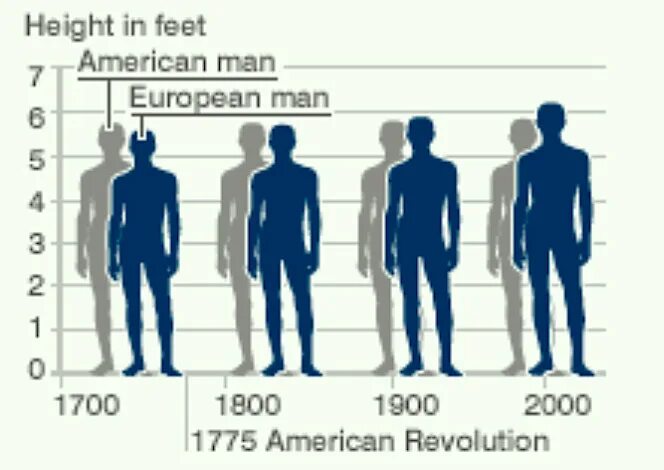 Height 6 4. Средний рост. Средний рост мужчины. Средний мужской рост. Средний рост мужчины в мире.