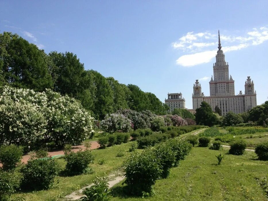 Ботанический сайт мгу. Ботанический сад МГУ Воробьевы горы. Бот сад МГУ Воробьевы горы. Ботанический сад МГУ на Ленинских горах. Ботанический парк МГУ на Воробьевых горах.