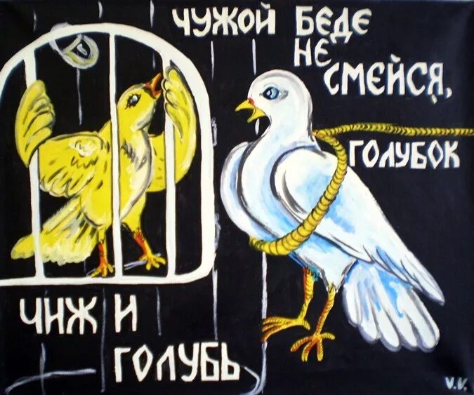 не смейся голубок