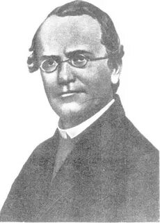 Темерязев