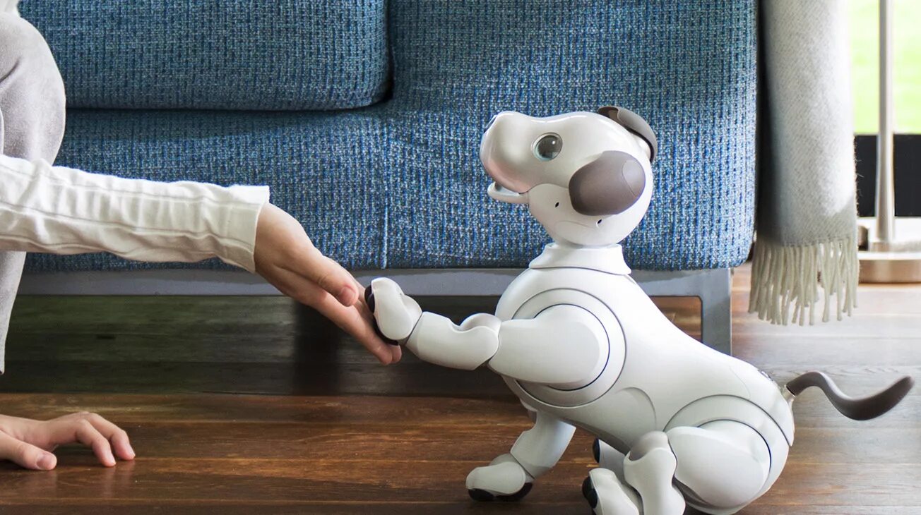 Ai pet. Робот Sony Aibo. Aibo робот-собака от Sony. Японская собака робот Aibo. Робот пёс Айбо.