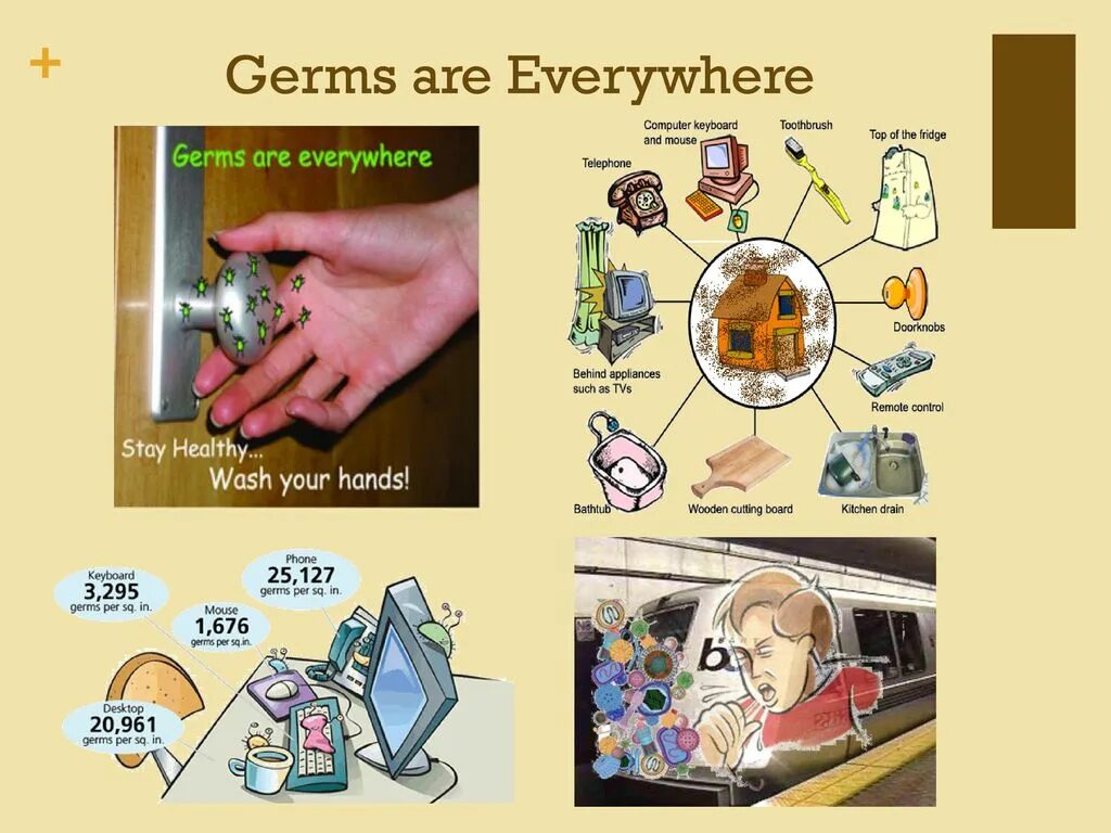 Germs Lesson Plan 6 Grade. About Germs. About Germs ppt. Germ перевод. Germs перевод
