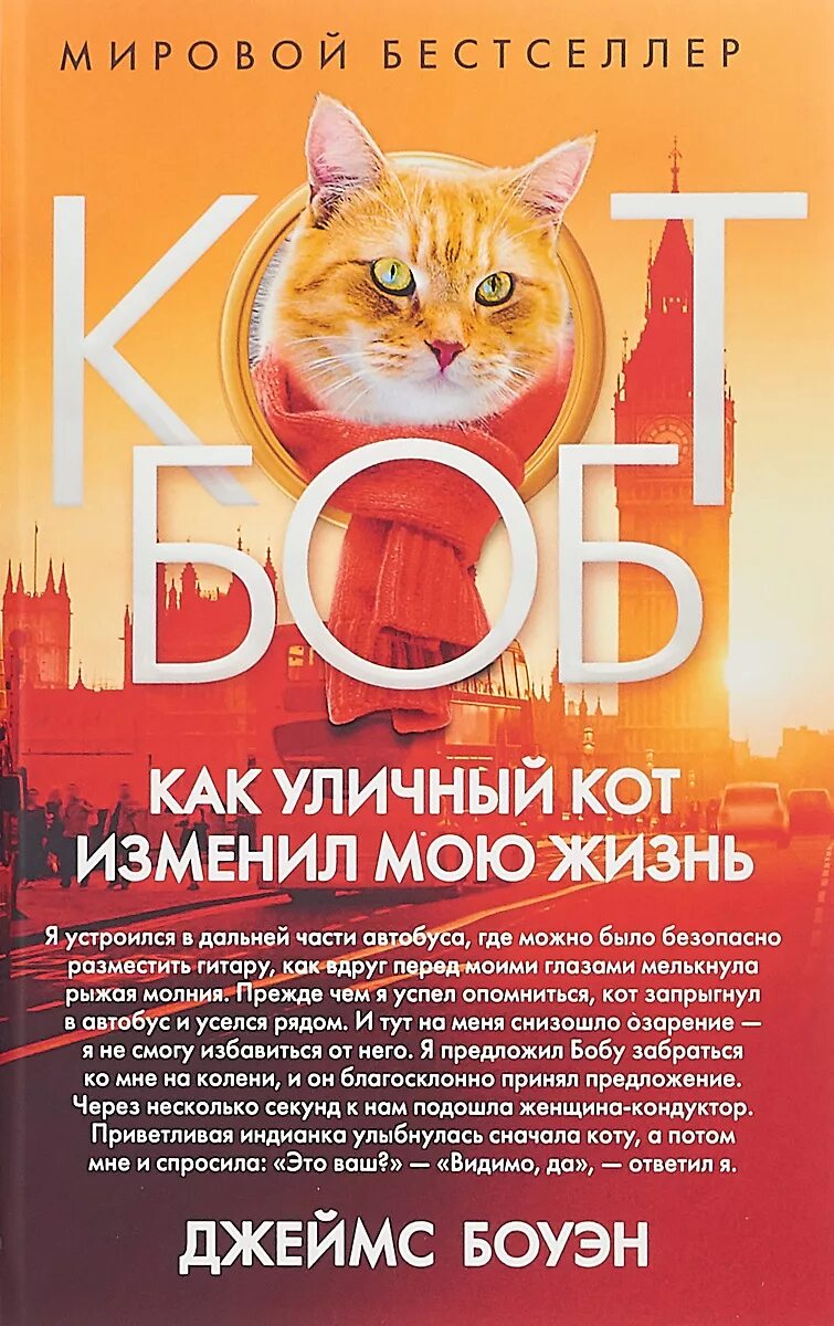 Книга про боба. Книга уличный кот по имени кот Боуэн.