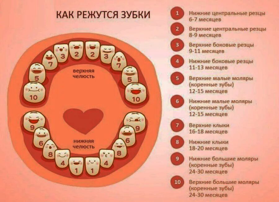 Режутся зубы 2 года