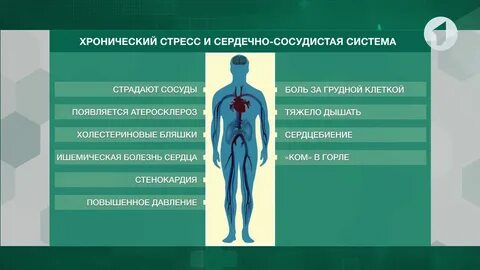 Как хронический стресс влияет