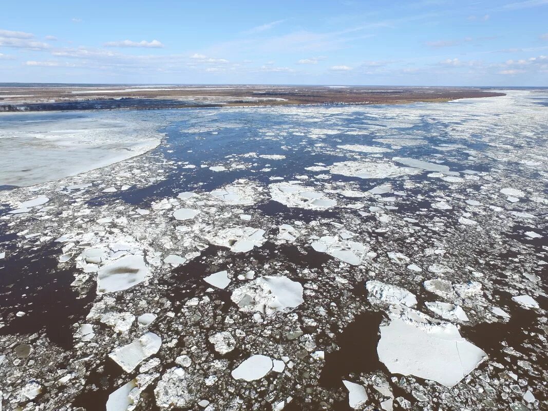 На реках севера на сегодня архангельск