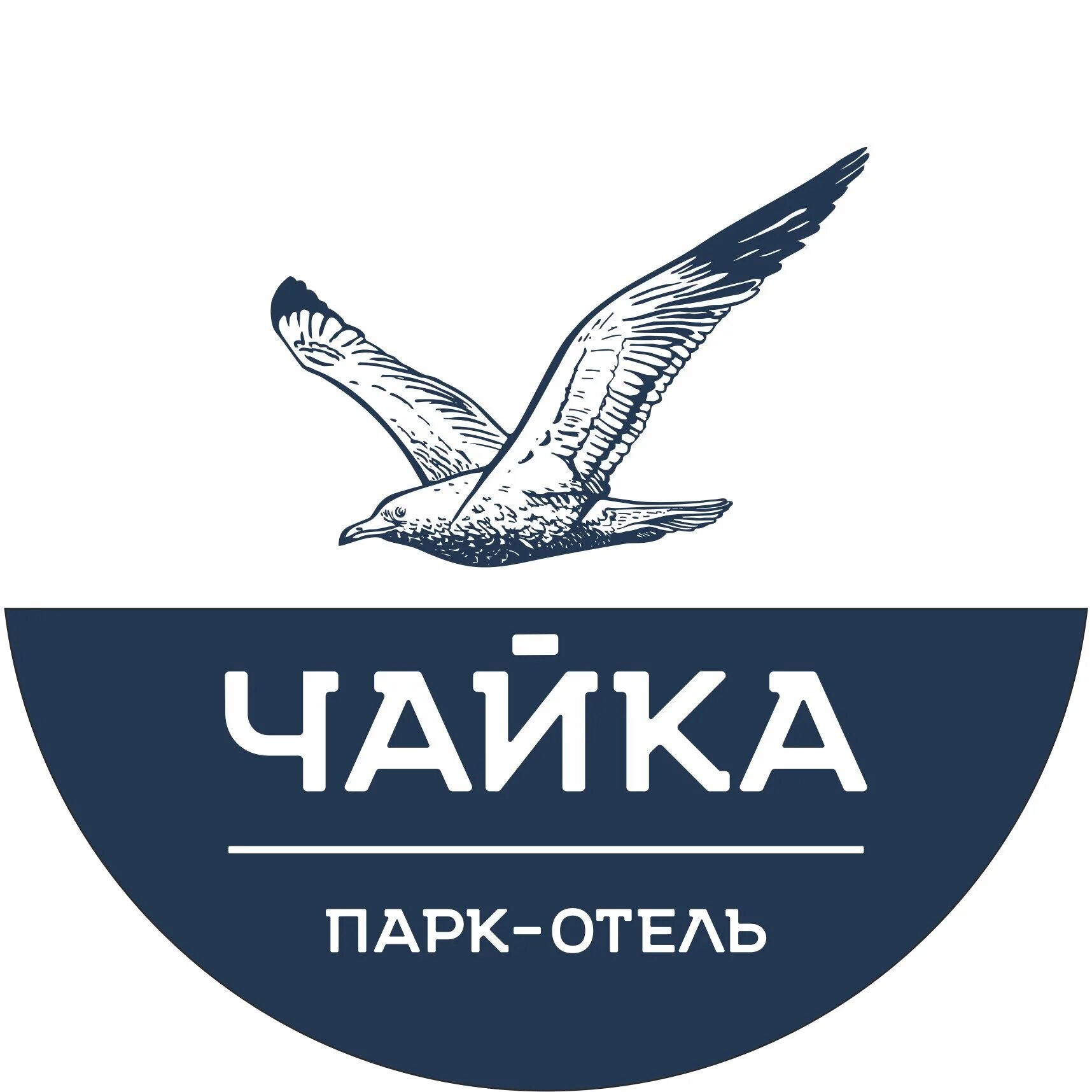 Чайка логотип. Парк отель чайка барнаул. чайка парк отель барнаул логотип. чайка эмблема. парк отель чайка лого.