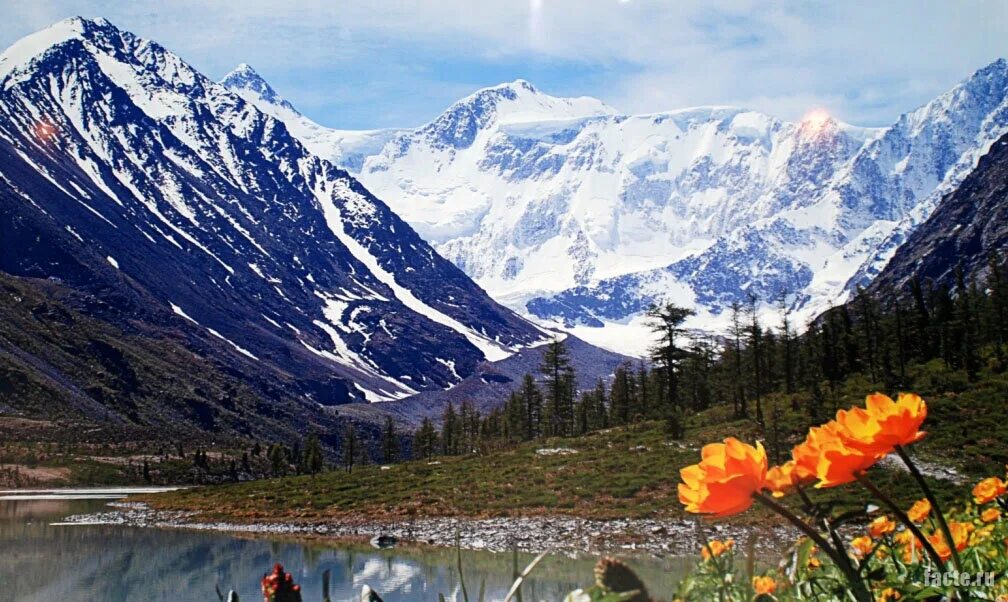 Самая высокая вершина сибири гора. Белуха горный Алтай. Гора Белуха. Алтайские горы Белуха. Уч Сумер гора Белуха.