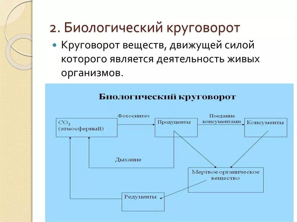 Процессы биологического круговорота веществ. Биологический малый круговорот веществ схема. Упрощённая схема биологического круговорота веществ. Схема биологического круговорота в природе. Биологисеский круговорот ве.