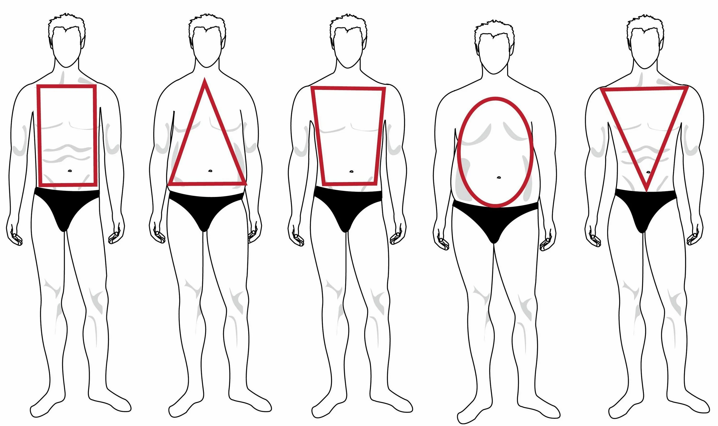 Типы фигур у мужчин. Типы телосложения у мужчин. Тип мужской фигуры треугольник. Фигура треугольник у мужчин. Через какое плечо нужно