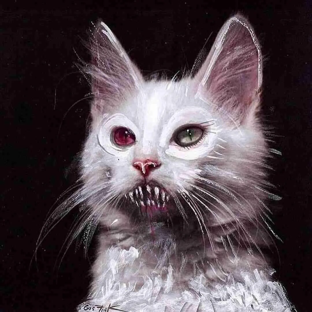 ликой. страшный кот. покажи страшных котиков. самый морщинистый кот сфинкс. сфинкс кошка морщинистая.