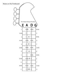 Acoustic Guitar String Diagram