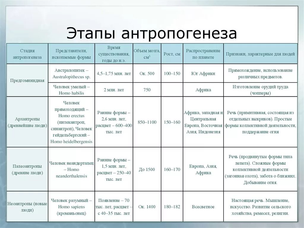 Название современного человека. Таблица основные этапы антропогенеза таблица 11 класс. Таблица по биологии основные этапы антропогенеза. Характеристика стадий антропогенеза таблица. Основные этапы антропогенеза таблица 11 класс.