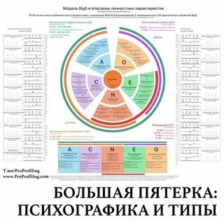 Тип 5 описание