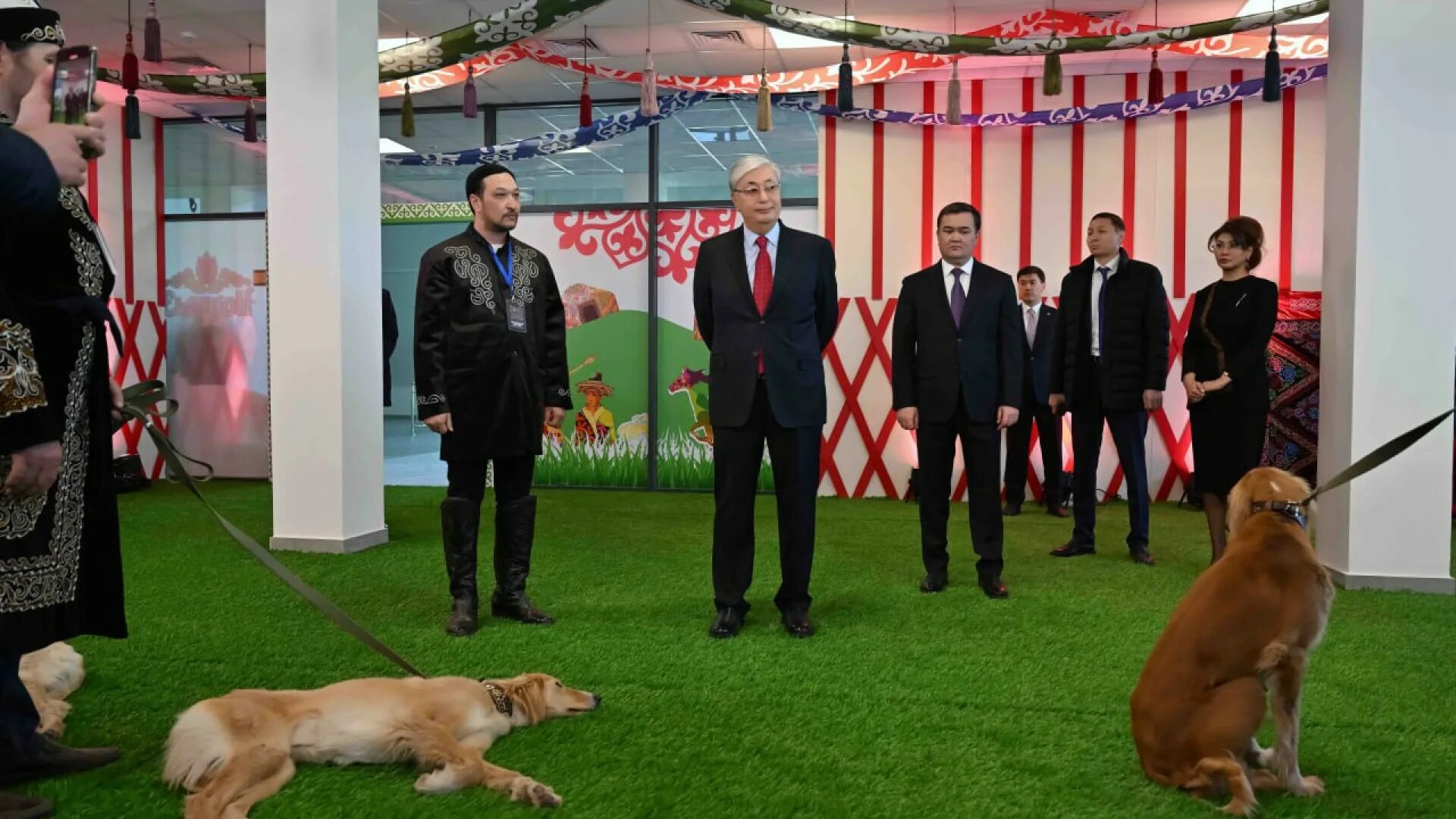 Выставка собак ижевск. На выставке собак. Выставка животных. Собачья выставка. Животные на выставке.
