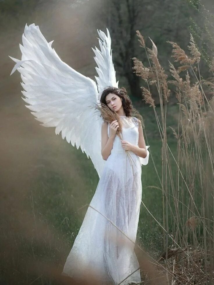 Pin by Valeria on Ángeles de luz Angel pictures, Angel art, Angel images