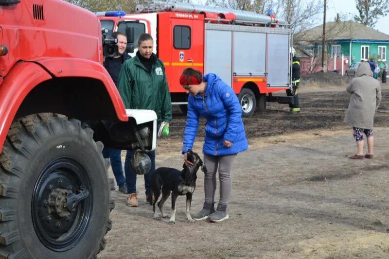 Николаевка Павловский район. Пожар в селе Николаевка Воронежской области. Пожар в Николаевке Воронежской области Павловского района. Поселок Желдаковка. Погода николаевка павловский воронежской