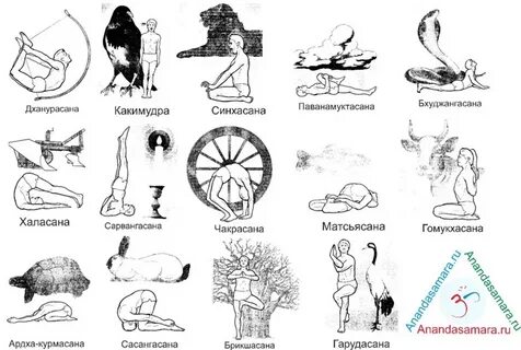 Санскрит асаны