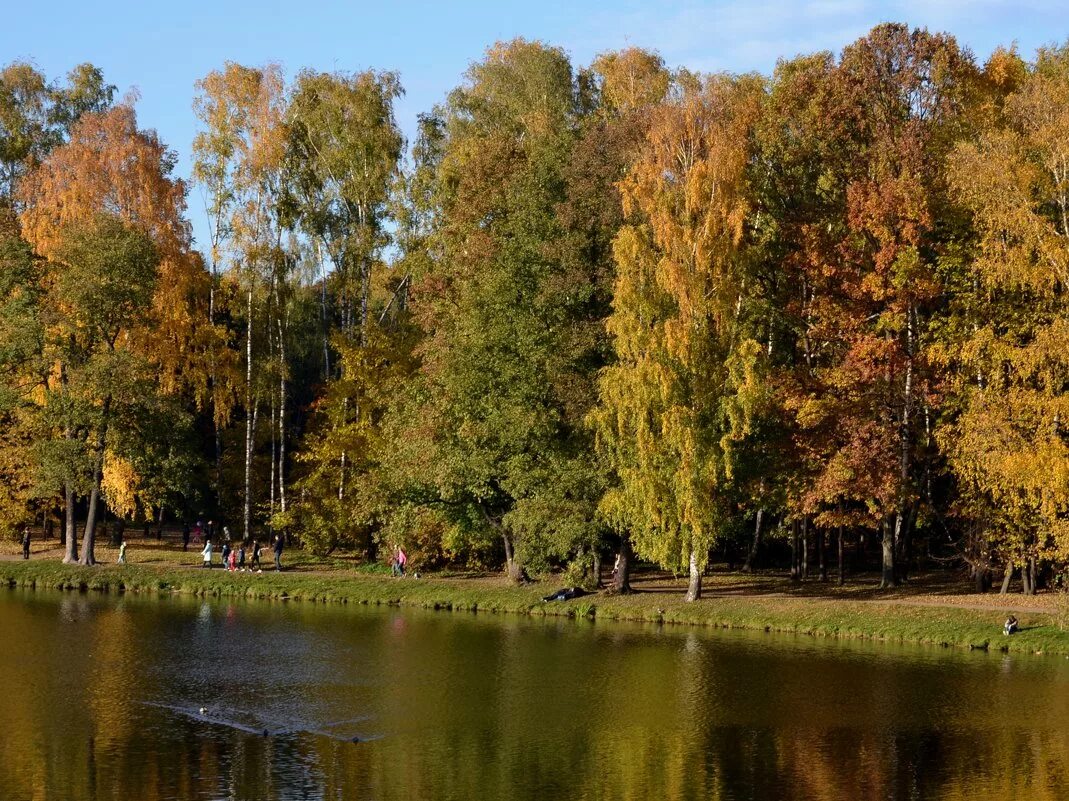 Парк кузьминки сайт. Парк Кузьминки. Парк Кузьминки-Люблино. Кузьминки парк лесопарк. Заповедник Кузьминки Люблино.