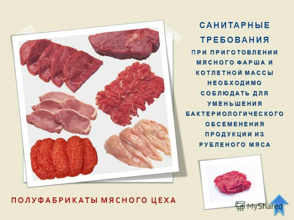 Ассортимент полуфабрикатов из мяса. Приготовление полуфабрикатов из мяса. Обработка мяса и полуфабрикатов. Санитарные требования к мясу. К рубленным относятся