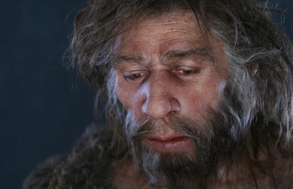 Человек разумный. Homo sapiens человек разумный фильм 2005. Неандерталь. Неандерталец. Неандерталец реконструкция.