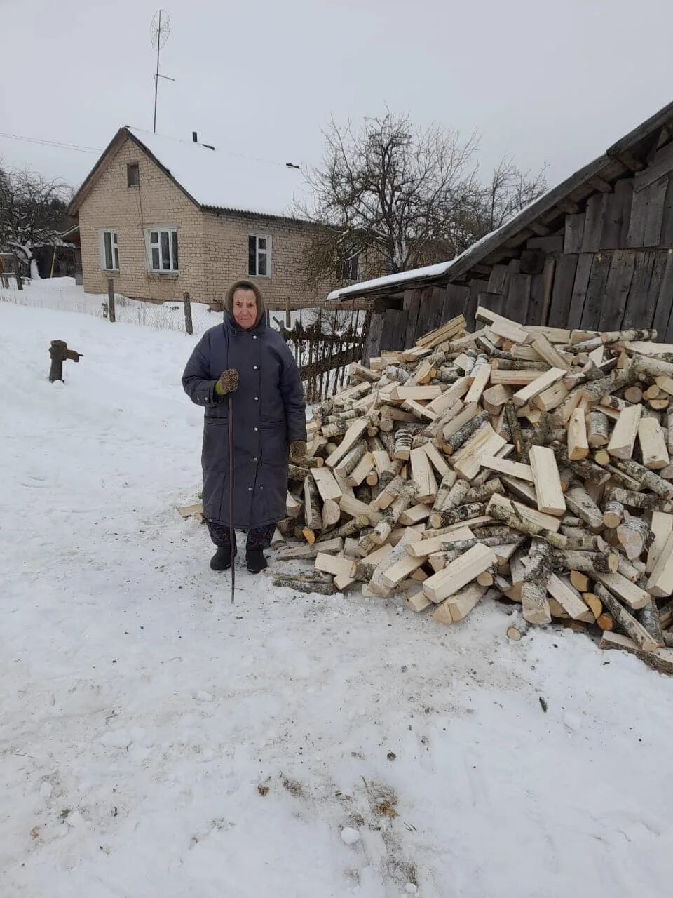 Купить дрова бабушке. Заготовка дров. Германия закупка дровами фото вчера с датой.