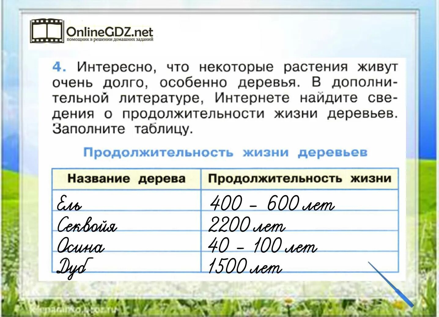 С помощью интернета найдите сведения. Сведения о продолжительности жизни деревьев таблица. Продолжительностьжмзни деревьев. Продолжительность жтзниднрнвьев. Продолжительность жизни дере.