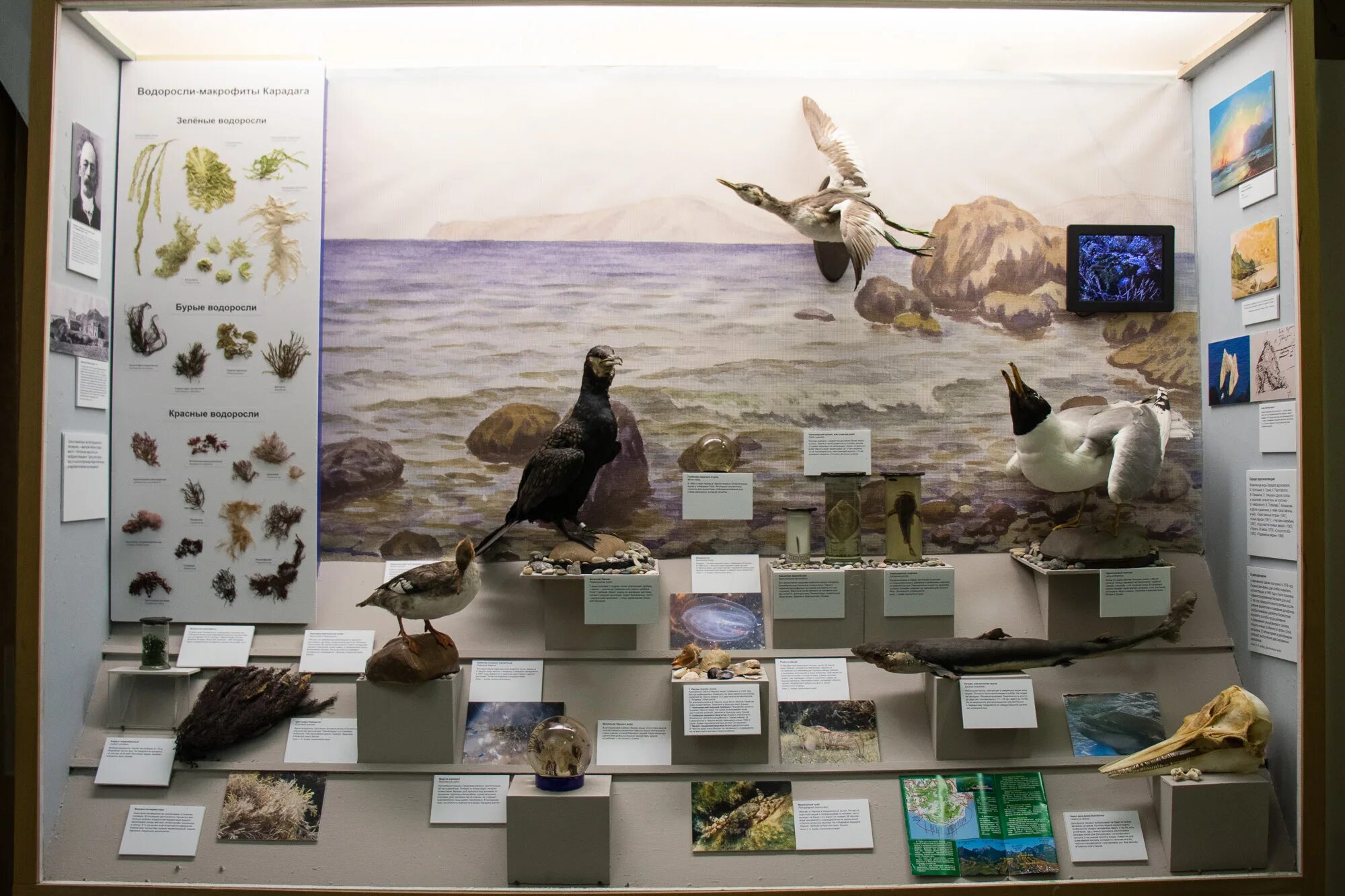 научно популярные выставки