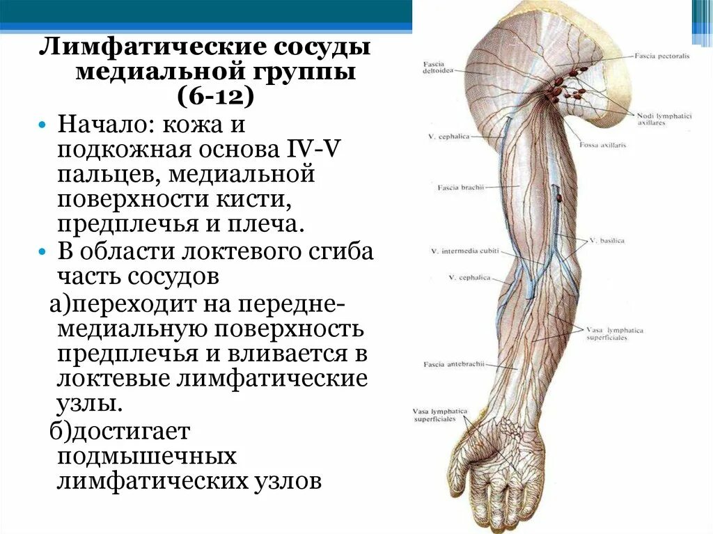 Анестезия плечевого сплетения