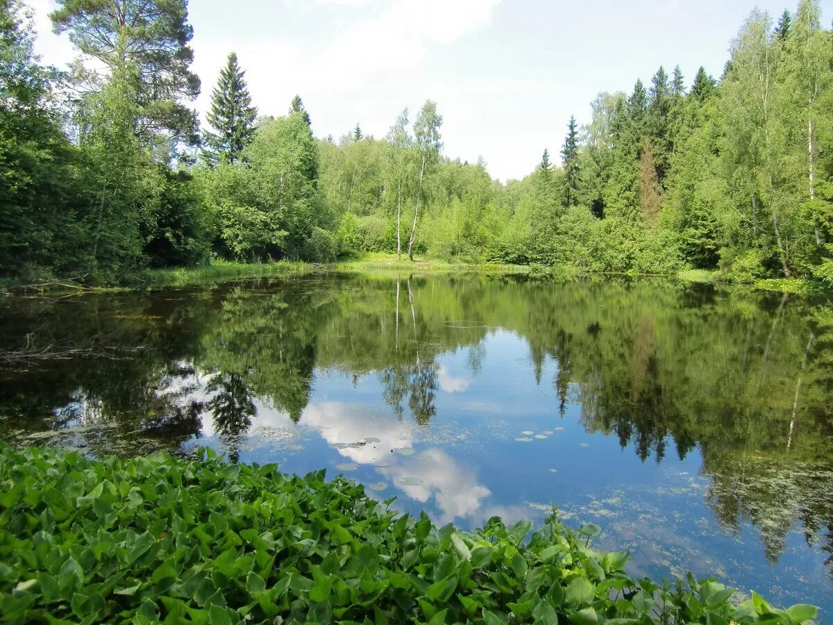 ладожский и онежские озерв. протяженность реки клязьма. какая река связывает озера. река обь. онежское и ладожское озера связаны рекой свирь.