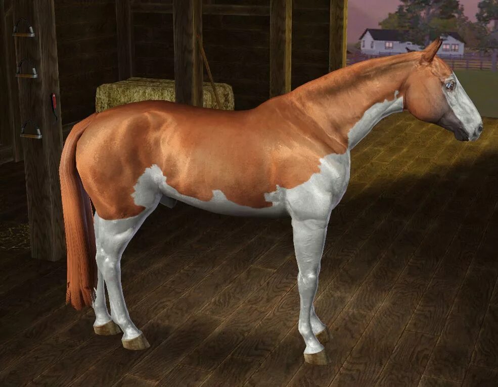 Horse sim. Симс 3 лошади. SIMS 3 лошади. Симс 3 питомцы лошади. SIMS 3 питомцы конюшня.