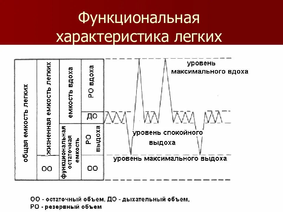 Легочные объемы и емкости. Назовите основные легочные объемы. Легочные объемы спирограмма физиология. Дыхательныйлбьем легких. Перечислите легочные ёмкости.
