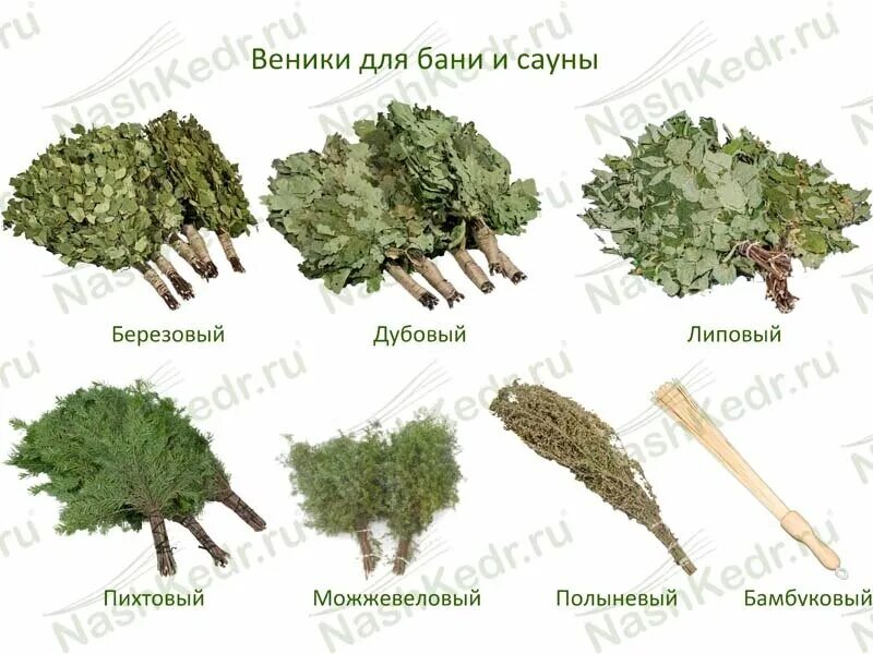 Виды банных