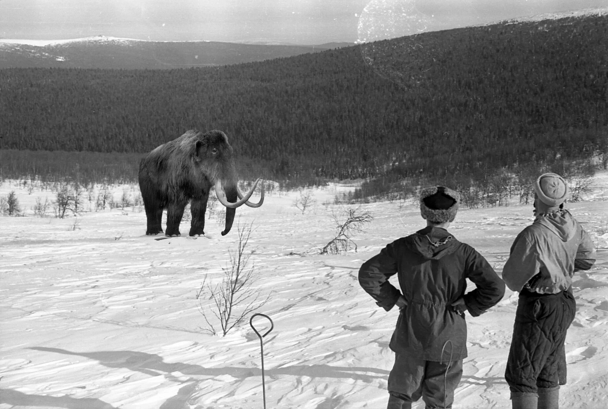 Манси дятлов. Гибель тургруппы Дятлова. Группа перевала Дятлова 1959.