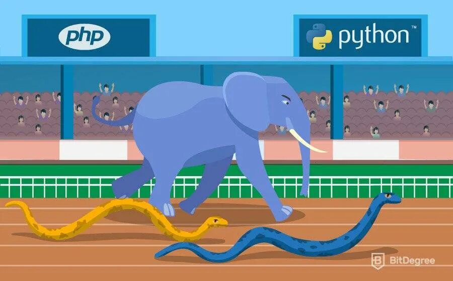 Python v. Пхп и питон. php vs python. питон против php. питон для егэ.