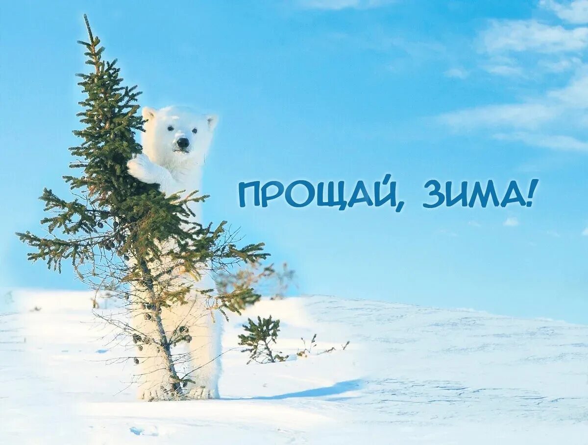 Открытки с последним зимним днем. Прощай зима. Прощай зима картинки. С последним днем зимы. Открытки с последним днем зимы.
