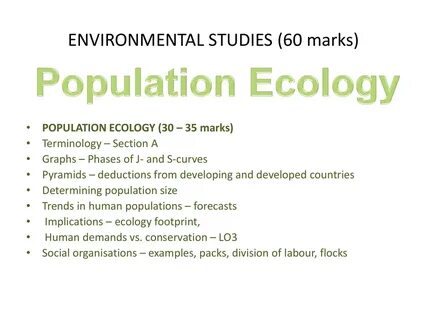 Studying environment