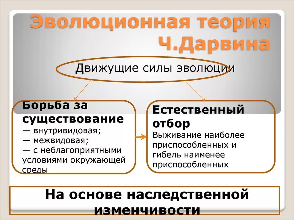 Гипотеза дарвина. Эволюционная теория Чарльза Дарвина презентация. Эволюционная теория ч Дарвина. Ч Дарвин теория эволюции. Теория эволюции Дарвина презентация.