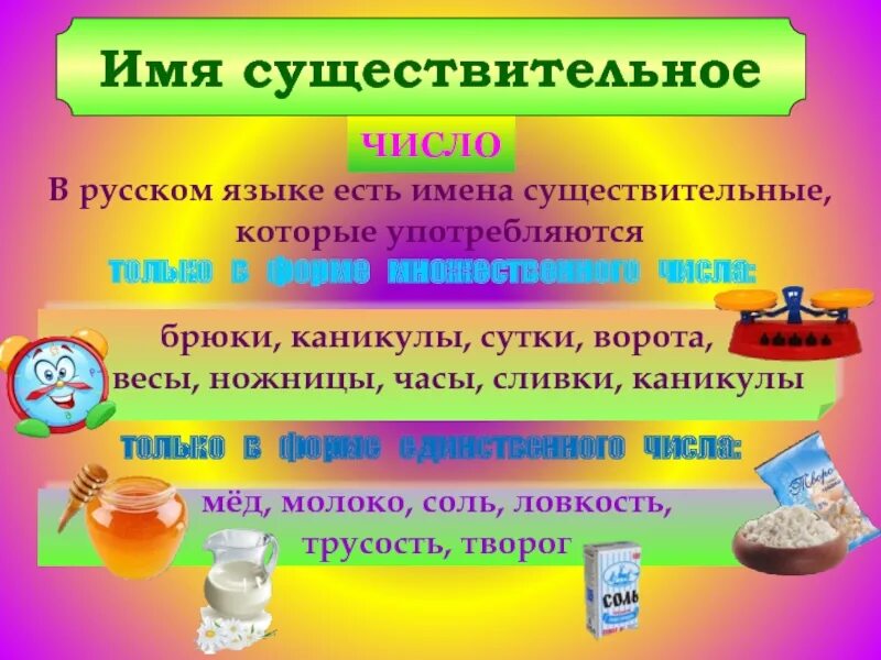 Имена существительные имеющие только одну форму