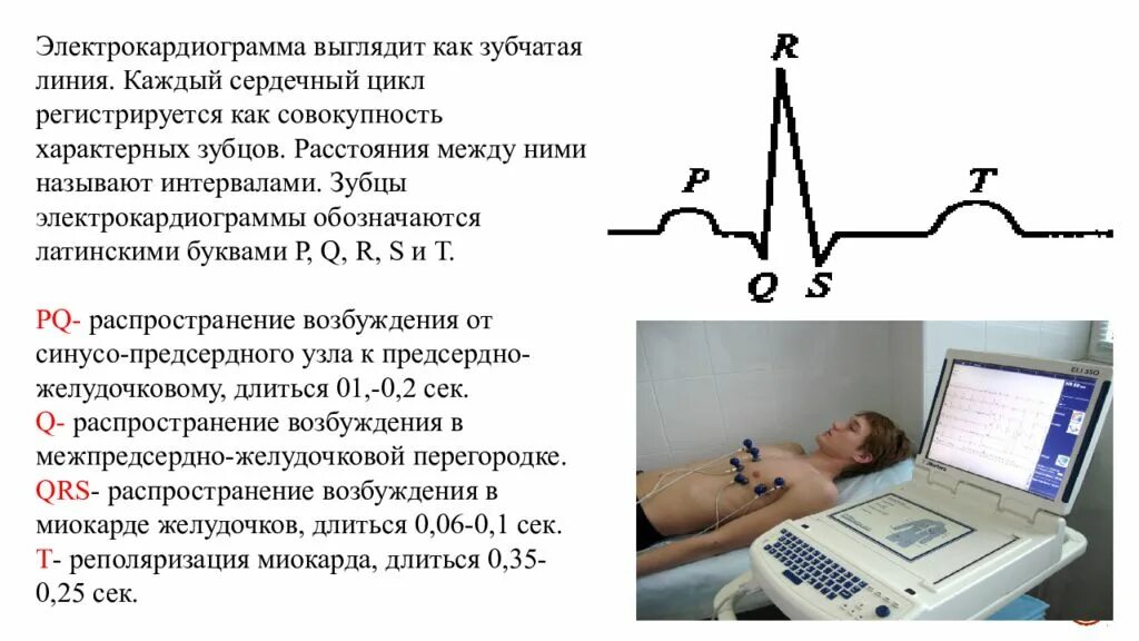 Нормальная электрокардиограмма физиология. Электрокардиография анализ электрокардиограммы. ЭКГ определение анализ ЭКГ. ЭКГ метод физиология. Платные услуги экг