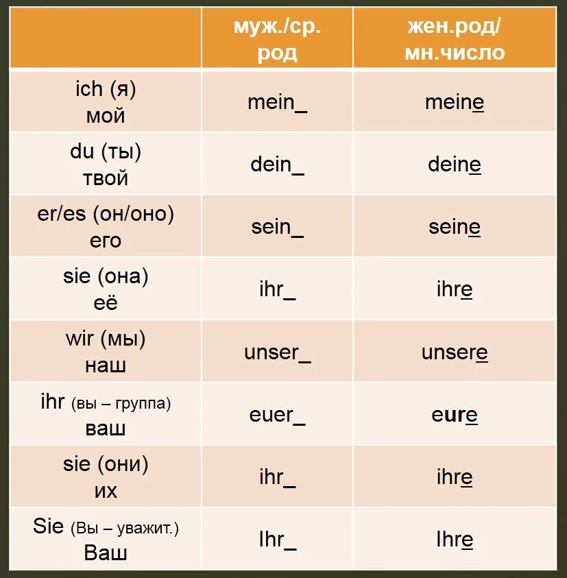 Майн перевод с немецкого. Местоимения Mein dein в немецком языке. Притяжательные местоимения в немецком языке. Местоимения в немецком языке. Притяжательные местоимения в немецком языке таблица.