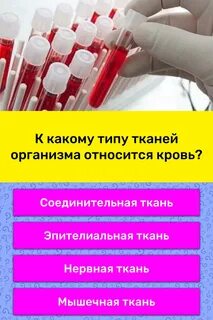 К группе основных тканей относятся