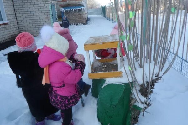 Наблюдение прогулка 2 младшая группа. Прогулка наблюдение за зимующими птицами. наблюдение за птицами у кормушки. наблюдение за зимующими птицами в подготовительной группе. прогулка в младшей группе кормим птиц зимой.