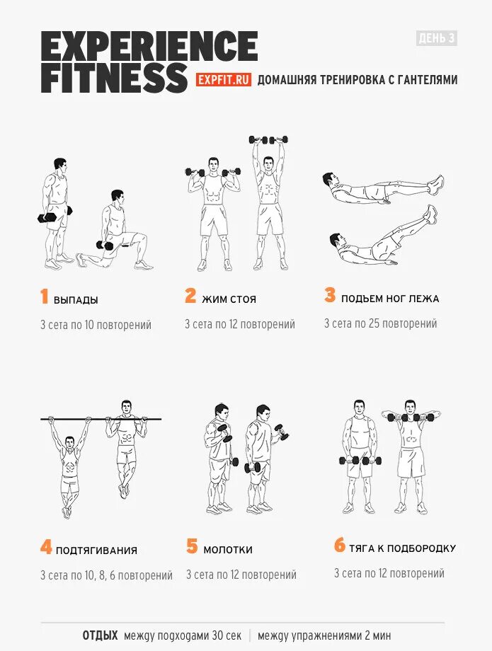Тренировки с гантелями дома для мужчин программа. Комплекс силовых упражнений с гантелями с описанием. Комплекс силовых упражнений с гантелями для мужчин. Experience Fitness программа тренировок гантелями.