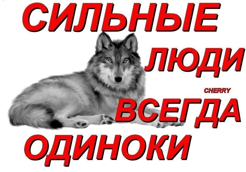 Стану сильнее в одиночку. Сильные всегда одиноки. Человек всегда одинок. Стих сильные люди всегда одиноки. Ты всегда одинок.